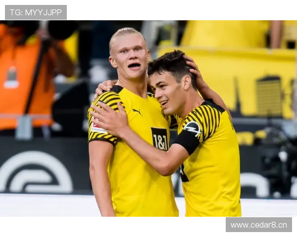 多特蒙德争冠关键阶段稳定性承压，对联赛格局带来阶段性变化