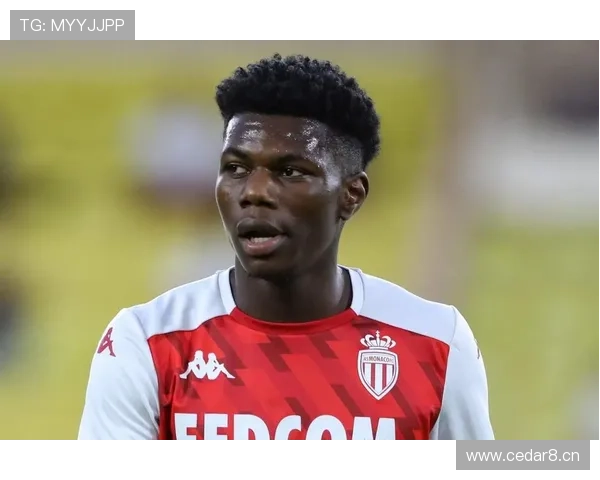 奥雷利安·楚阿梅尼对比罗德里:防守型中场模板对比 奥雷利安·楚阿梅尼对比罗德里:防守型中场模板对比