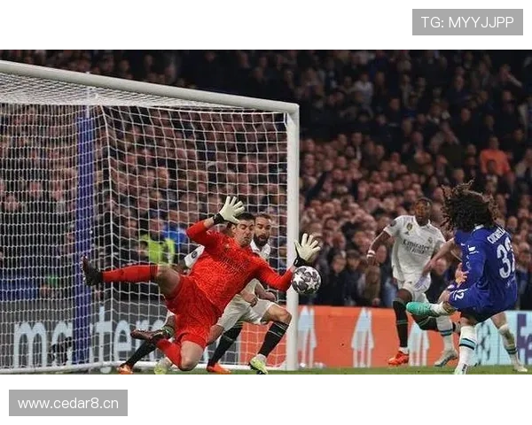 罗德里戈与莱奥:进攻效率及战术角色对比分析 罗德里戈与莱奥:进攻效率及战术角色对比分析