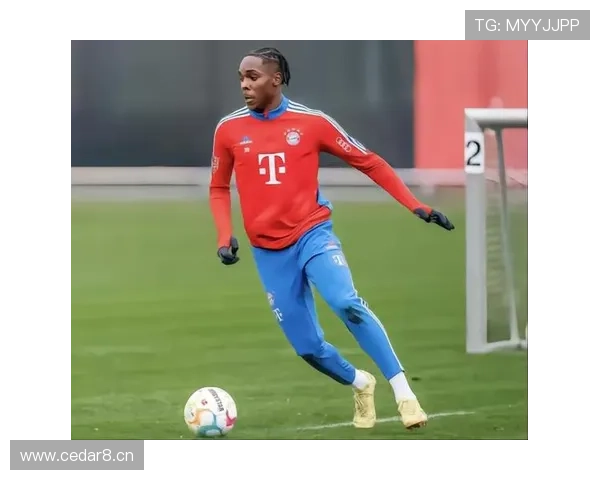 奥斯梅恩 vs 凯恩：终结效率与战术角色差异解析