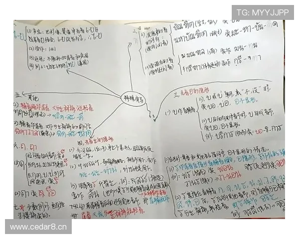 双方同时犯规怎么判？规则解析与判罚标准